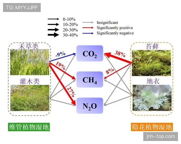 居莱尔 vs 梅西：天赋与成长路径差异解析